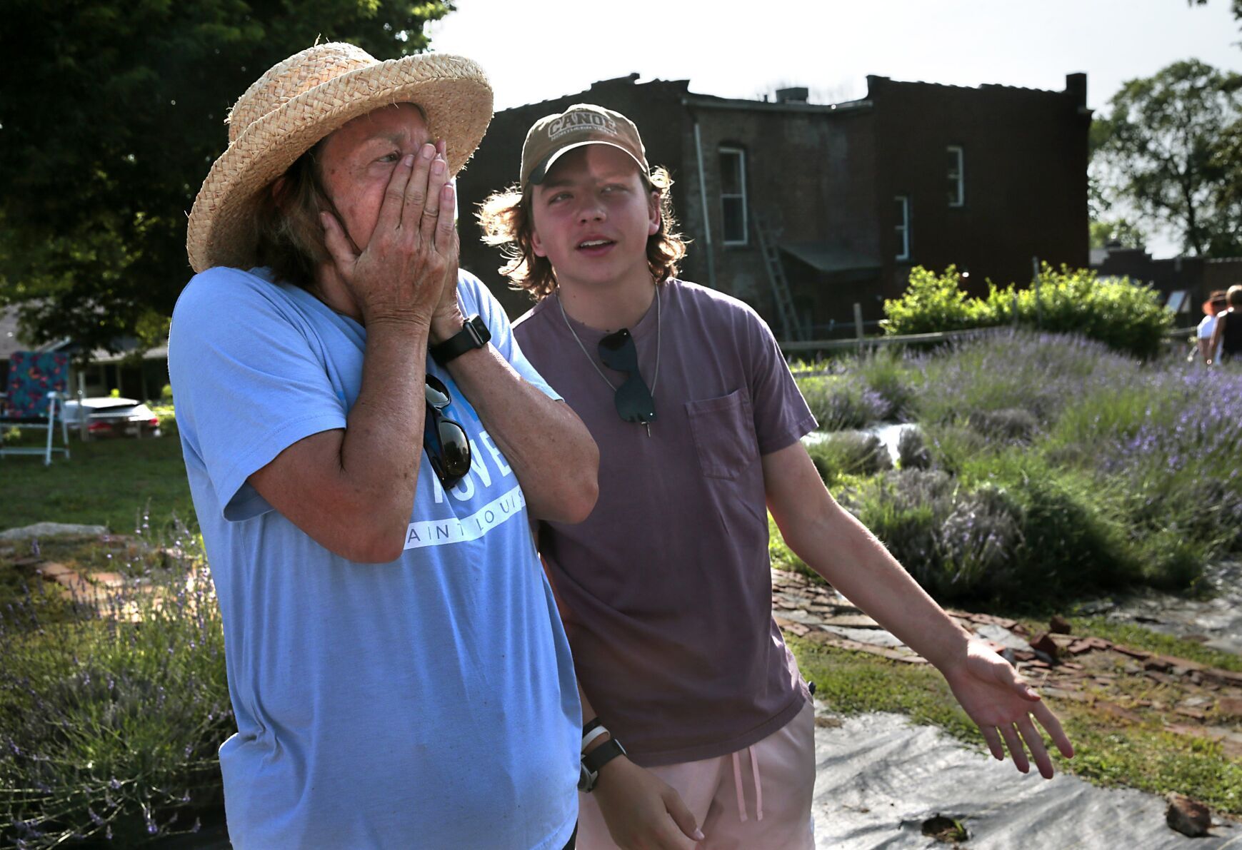 Scent of lavender harvest breathes life into College Hill